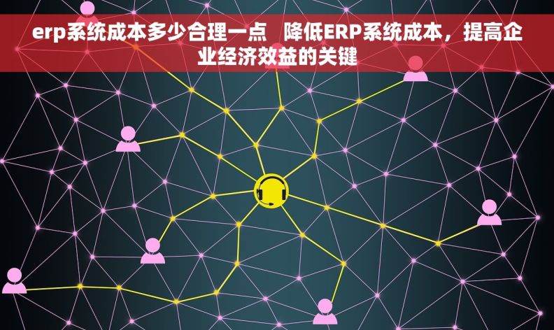 erp系统成本多少合理一点   降低ERP系统成本，提高企业经济效益的关键