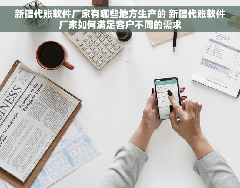 新疆代账软件厂家有哪些地方生产的 新疆代账软件厂家如何满足客户不同的需求