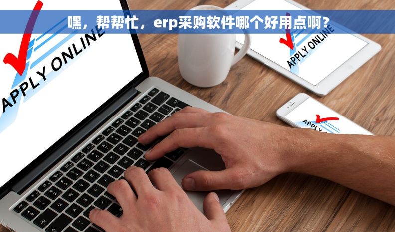 嘿，帮帮忙，erp采购软件哪个好用点啊？
