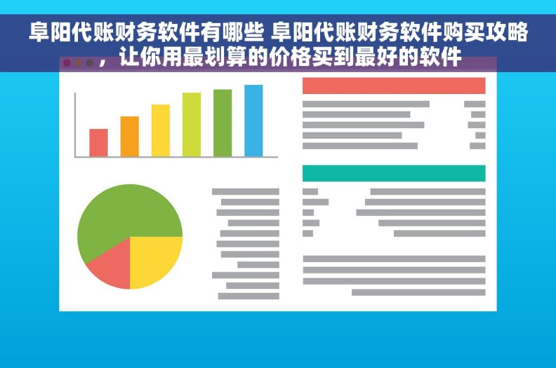 阜阳代账财务软件有哪些 阜阳代账财务软件购买攻略，让你用最划算的价格买到最好的软件