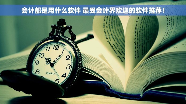 会计都是用什么软件 最受会计界欢迎的软件推荐！