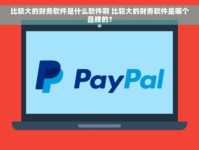 比较大的财务软件是什么软件啊 比较大的财务软件是哪个品牌的？
