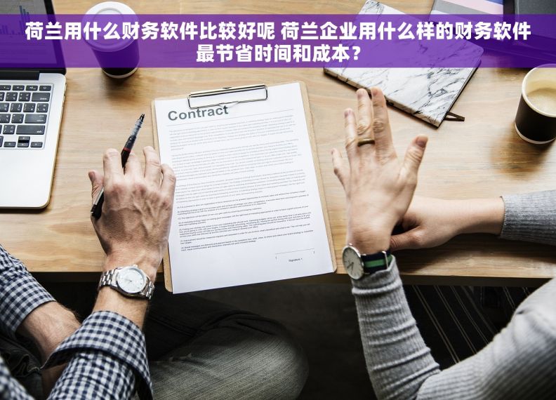 荷兰用什么财务软件比较好呢 荷兰企业用什么样的财务软件最节省时间和成本？