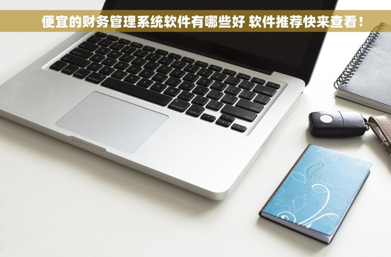     便宜的财务管理系统软件有哪些好 软件推荐快来查看！