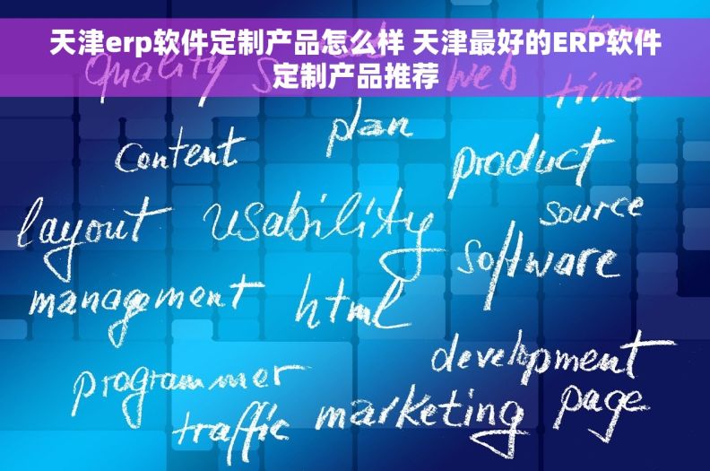 天津erp软件定制产品怎么样 天津最好的ERP软件定制产品推荐
