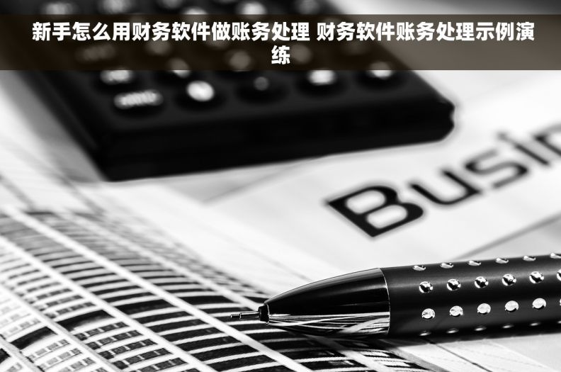  新手怎么用财务软件做账务处理 财务软件账务处理示例演练