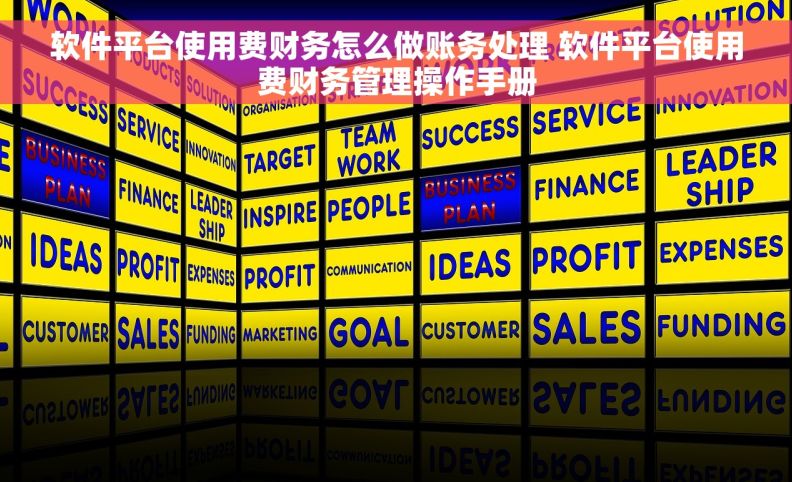 软件平台使用费财务怎么做账务处理 软件平台使用费财务管理操作手册