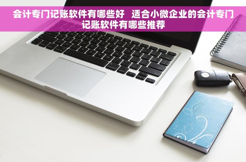 会计专门记账软件有哪些好   适合小微企业的会计专门记账软件有哪些推荐