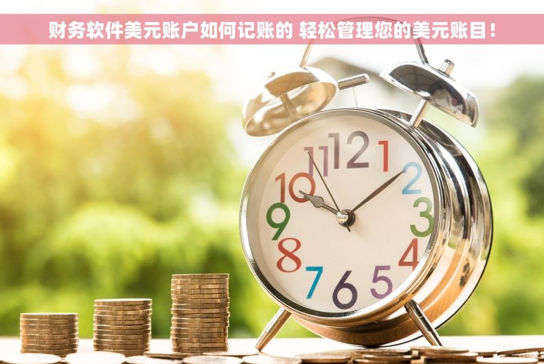 财务软件美元账户如何记账的 轻松管理您的美元账目！