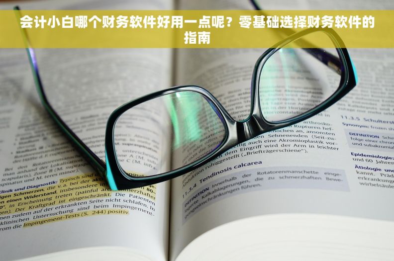 会计小白哪个财务软件好用一点呢？零基础选择财务软件的指南