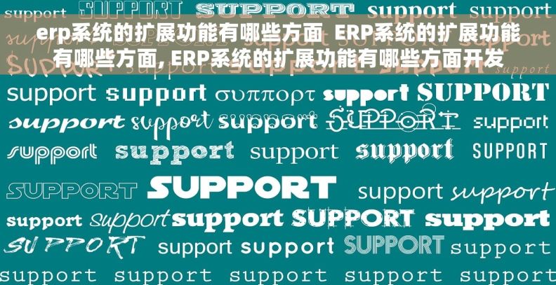 erp系统的扩展功能有哪些方面  ERP系统的扩展功能有哪些方面, ERP系统的扩展功能有哪些方面开发
