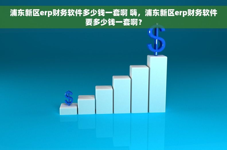 浦东新区erp财务软件多少钱一套啊 嗨，浦东新区erp财务软件要多少钱一套啊？