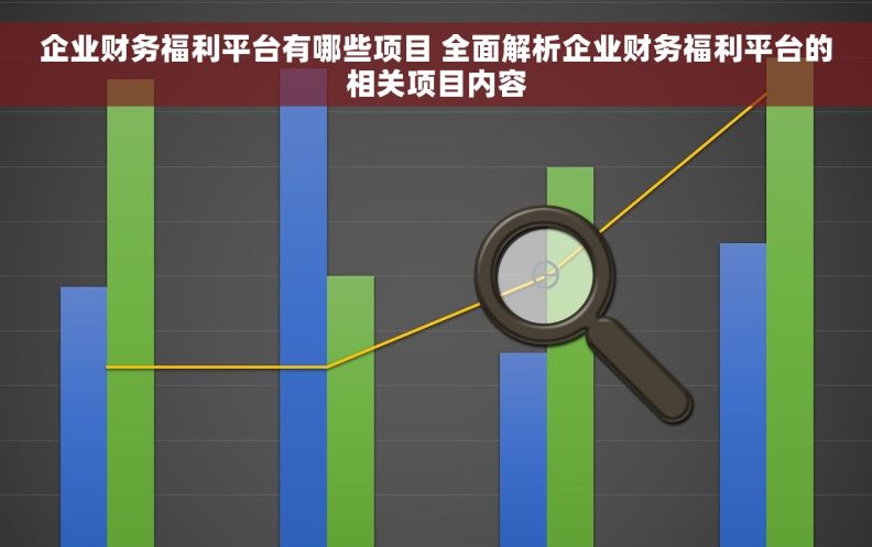 企业财务福利平台有哪些项目 全面解析企业财务福利平台的相关项目内容