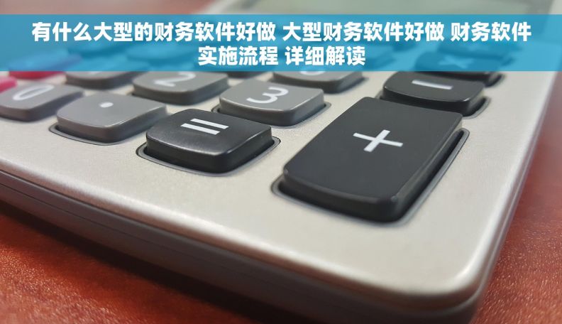 有什么大型的财务软件好做 大型财务软件好做 财务软件实施流程 详细解读