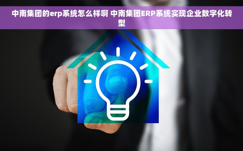 中南集团的erp系统怎么样啊 中南集团ERP系统实现企业数字化转型