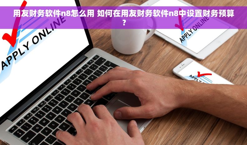 用友财务软件n8怎么用 如何在用友财务软件n8中设置财务预算？