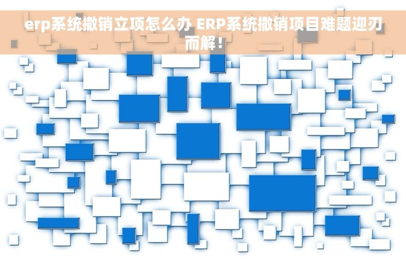 erp系统撤销立项怎么办 ERP系统撤销项目难题迎刃而解！