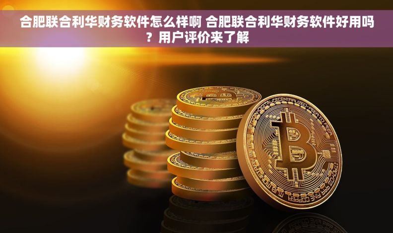 合肥联合利华财务软件怎么样啊 合肥联合利华财务软件好用吗？用户评价来了解