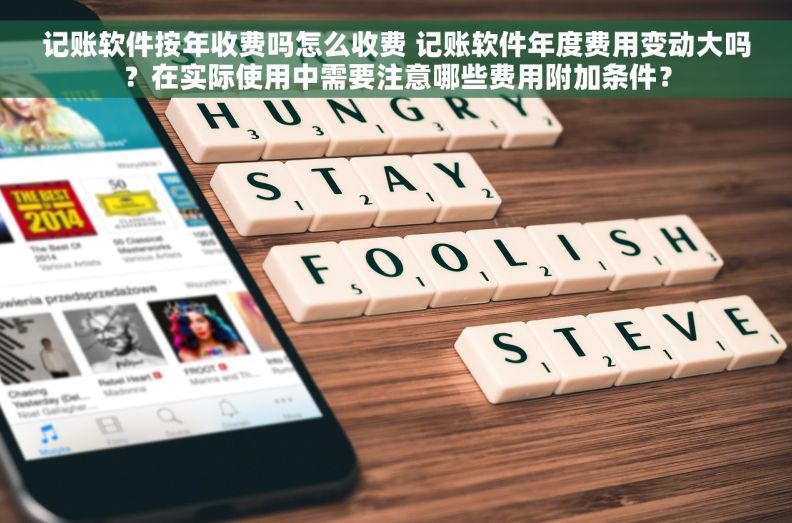 记账软件按年收费吗怎么收费 记账软件年度费用变动大吗？在实际使用中需要注意哪些费用附加条件？