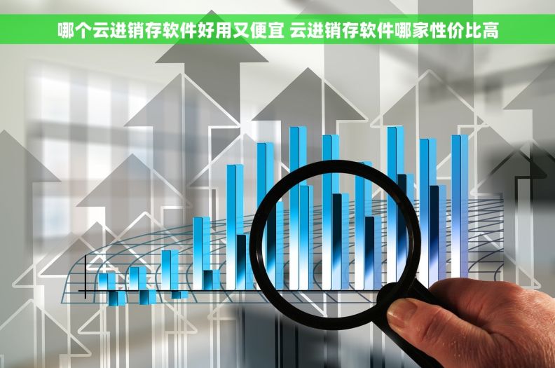 哪个云进销存软件好用又便宜 云进销存软件哪家性价比高