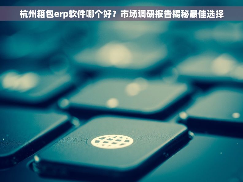 杭州箱包erp软件哪个好？市场调研报告揭秘最佳选择