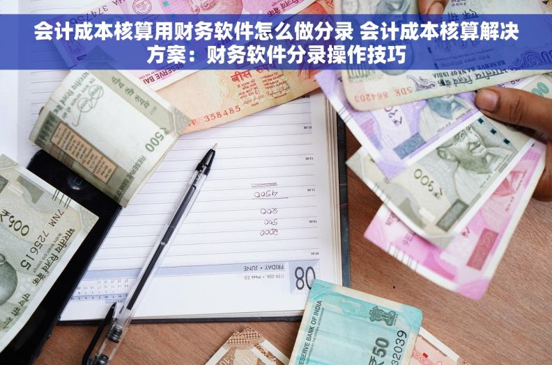 会计成本核算用财务软件怎么做分录 会计成本核算解决方案：财务软件分录操作技巧