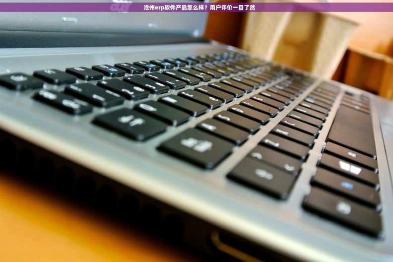     沧州erp软件产品怎么样？用户评价一目了然
