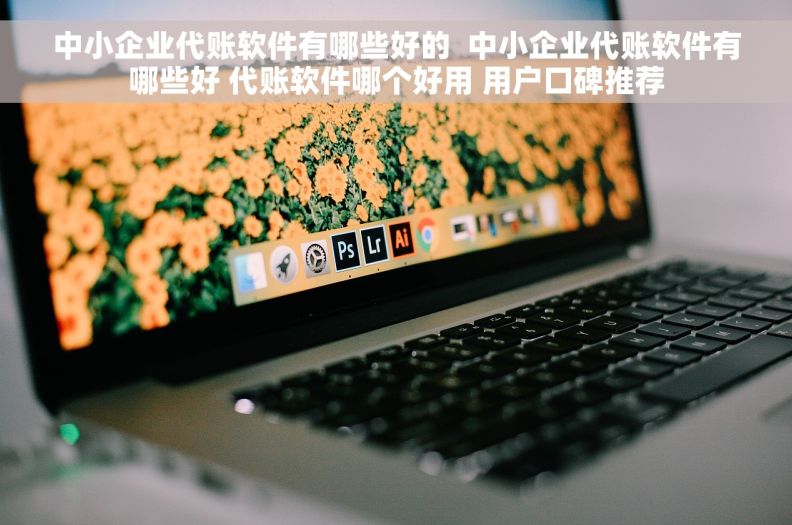 中小企业代账软件有哪些好的  中小企业代账软件有哪些好 代账软件哪个好用 用户口碑推荐