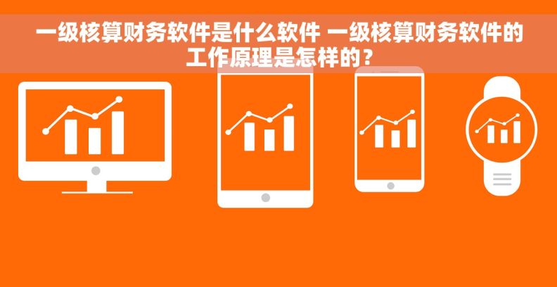 一级核算财务软件是什么软件 一级核算财务软件的工作原理是怎样的？