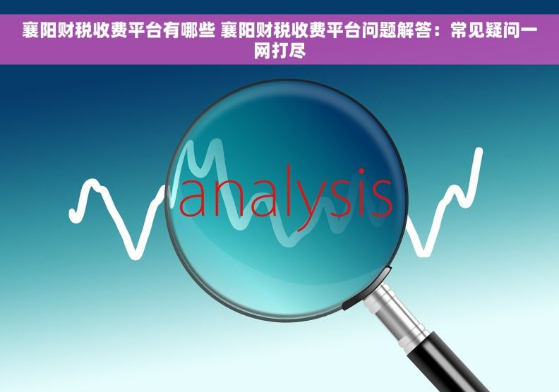 襄阳财税收费平台有哪些 襄阳财税收费平台问题解答：常见疑问一网打尽