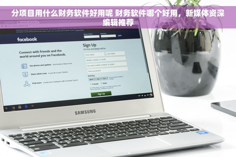 分项目用什么财务软件好用呢 财务软件哪个好用，新媒体资深编辑推荐