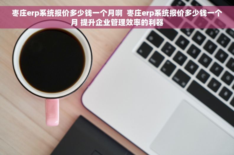 枣庄erp系统报价多少钱一个月啊  枣庄erp系统报价多少钱一个月 提升企业管理效率的利器