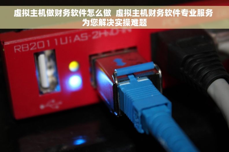 虚拟主机做财务软件怎么做  虚拟主机财务软件专业服务 为您解决实操难题