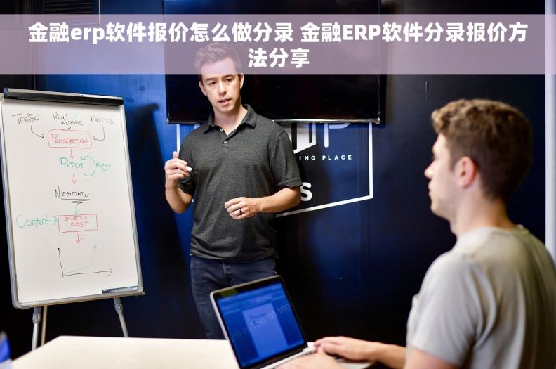 金融erp软件报价怎么做分录 金融ERP软件分录报价方法分享