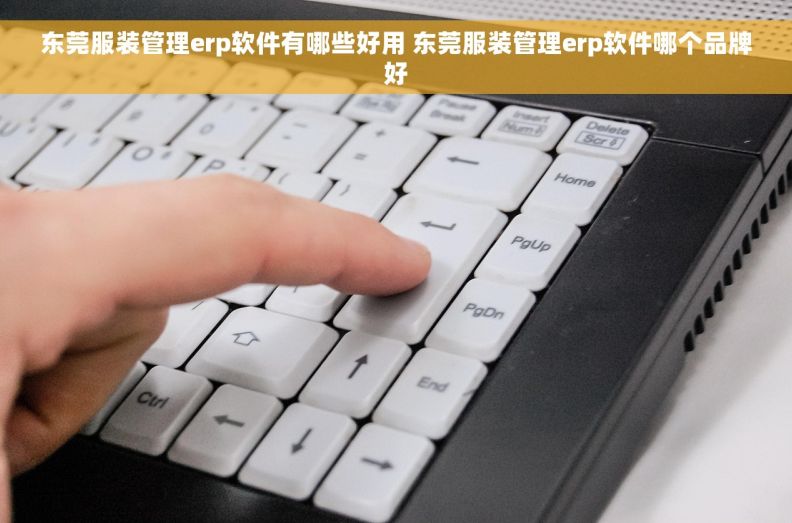 东莞服装管理erp软件有哪些好用 东莞服装管理erp软件哪个品牌好