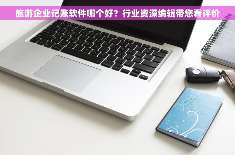 旅游企业记账软件哪个好？行业资深编辑带您看评价