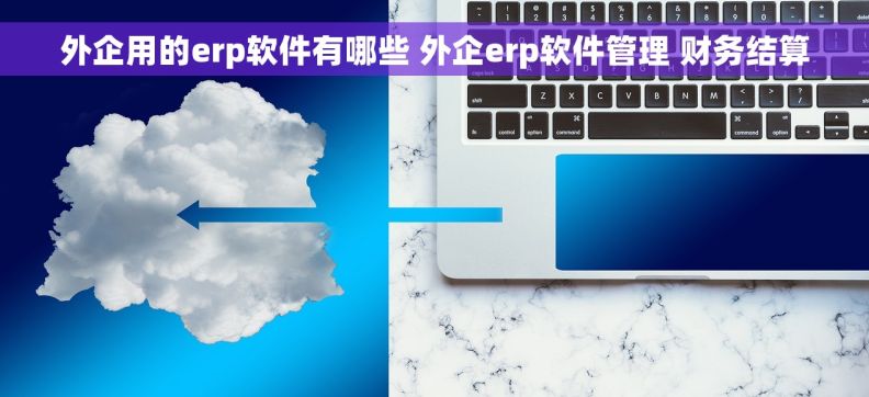 外企用的erp软件有哪些 外企erp软件管理 财务结算