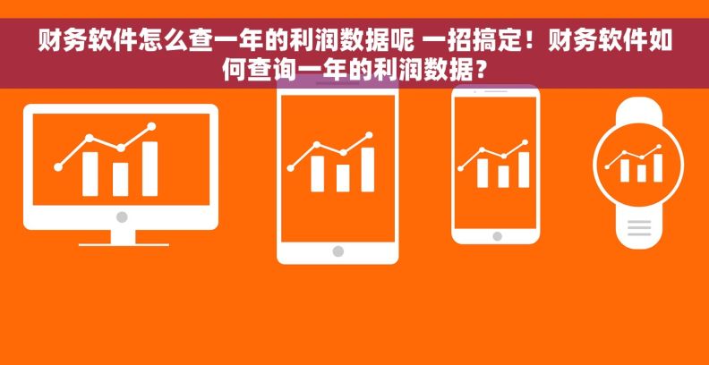 财务软件怎么查一年的利润数据呢 一招搞定！财务软件如何查询一年的利润数据？