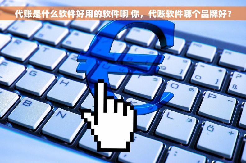 代账是什么软件好用的软件啊 你，代账软件哪个品牌好？
