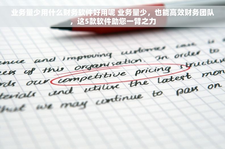 业务量少用什么财务软件好用呢 业务量少，也能高效财务团队，这5款软件助您一臂之力