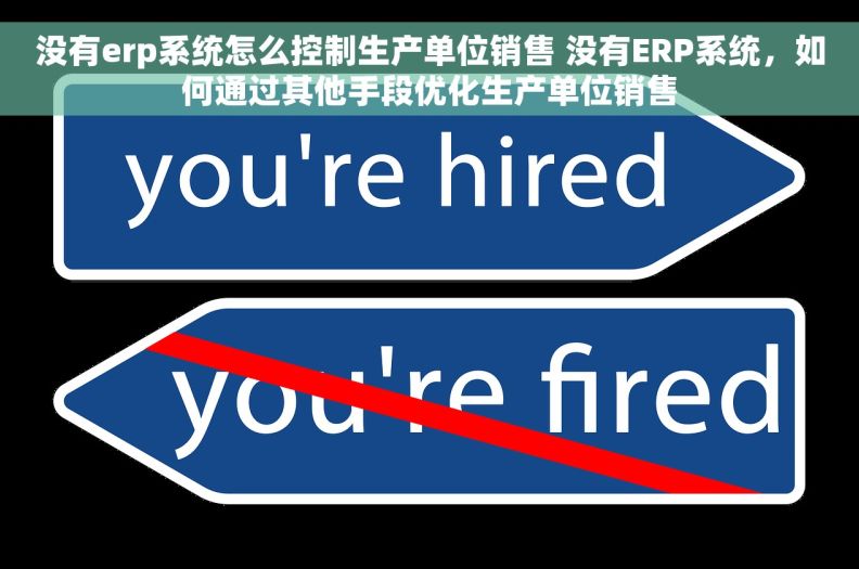 没有erp系统怎么控制生产单位销售 没有ERP系统，如何通过其他手段优化生产单位销售