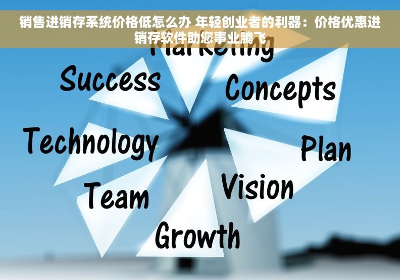 销售进销存系统价格低怎么办 年轻创业者的利器：价格优惠进销存软件助您事业腾飞