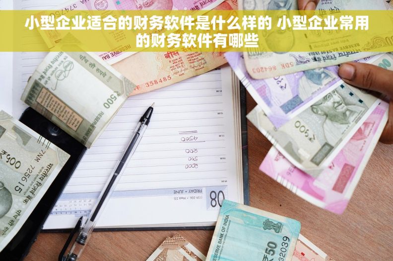 小型企业适合的财务软件是什么样的 小型企业常用的财务软件有哪些