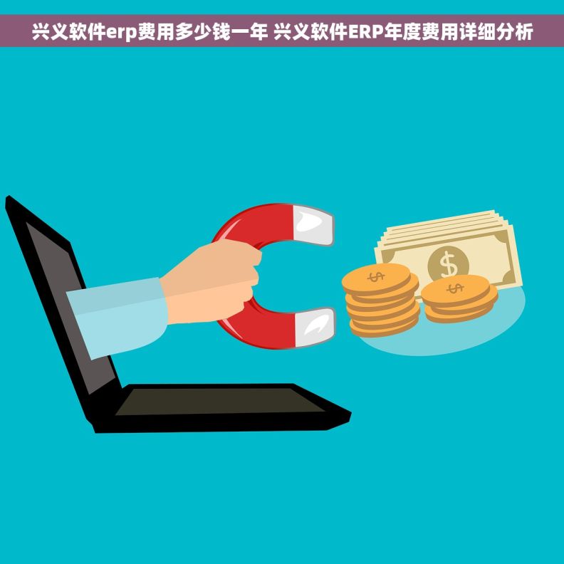 兴义软件erp费用多少钱一年 兴义软件ERP年度费用详细分析