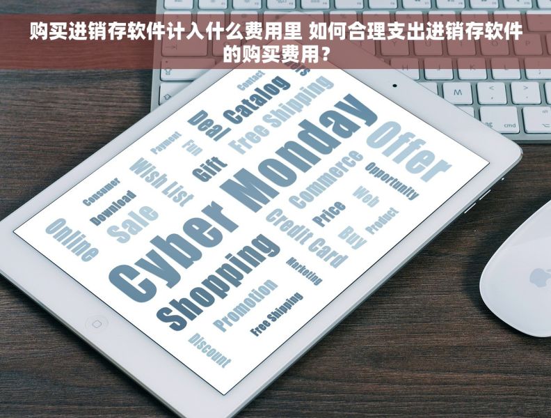 购买进销存软件计入什么费用里 如何合理支出进销存软件的购买费用？