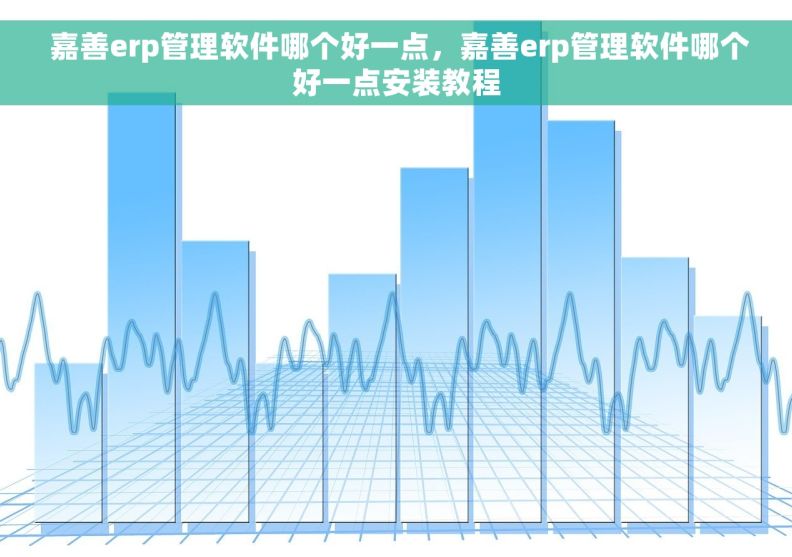  嘉善erp管理软件哪个好一点，嘉善erp管理软件哪个好一点安装教程