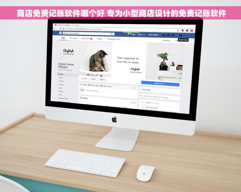  商店免费记账软件哪个好 专为小型商店设计的免费记账软件