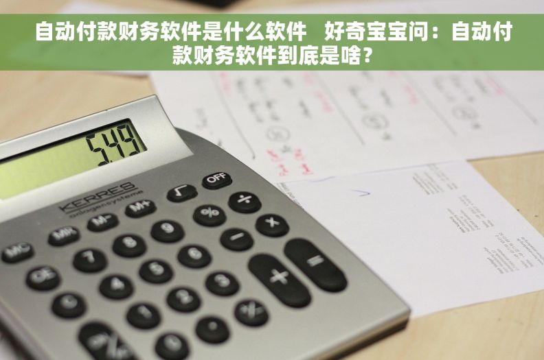 自动付款财务软件是什么软件   好奇宝宝问：自动付款财务软件到底是啥？