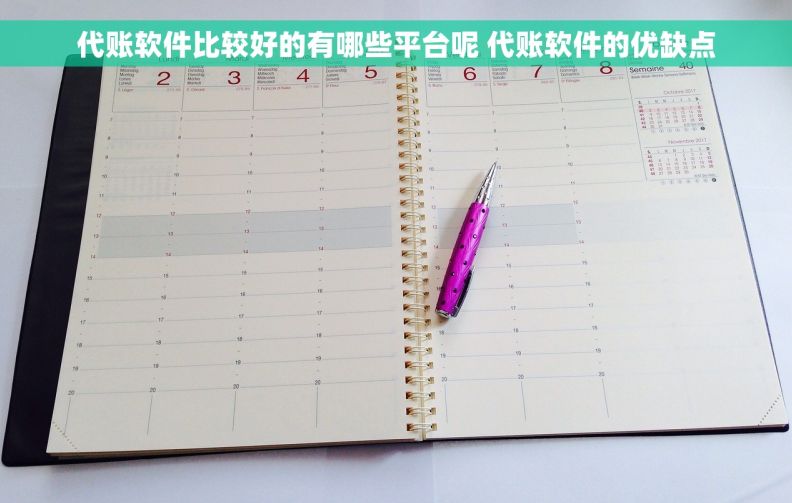 代账软件比较好的有哪些平台呢 代账软件的优缺点