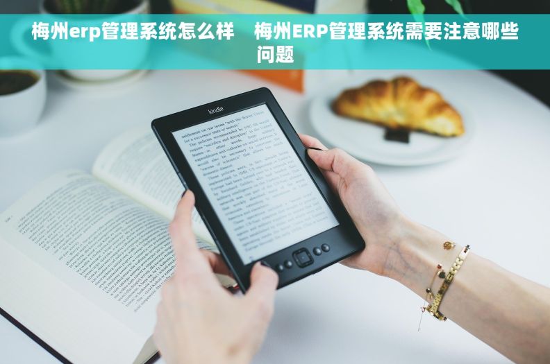 梅州erp管理系统怎么样    梅州ERP管理系统需要注意哪些问题